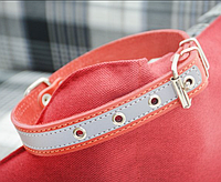 Ошейник кожаный со свето-отражательной лентой ширина 18 мм, длина 28-36 см красный