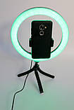Штатив тринога з підсвічуванням 26см та тримачем для телефону лід кільце блогера RGB, фото 4