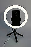 Штатив тринога з підсвічуванням 26см та тримачем для телефону лід кільце блогера RGB, фото 5