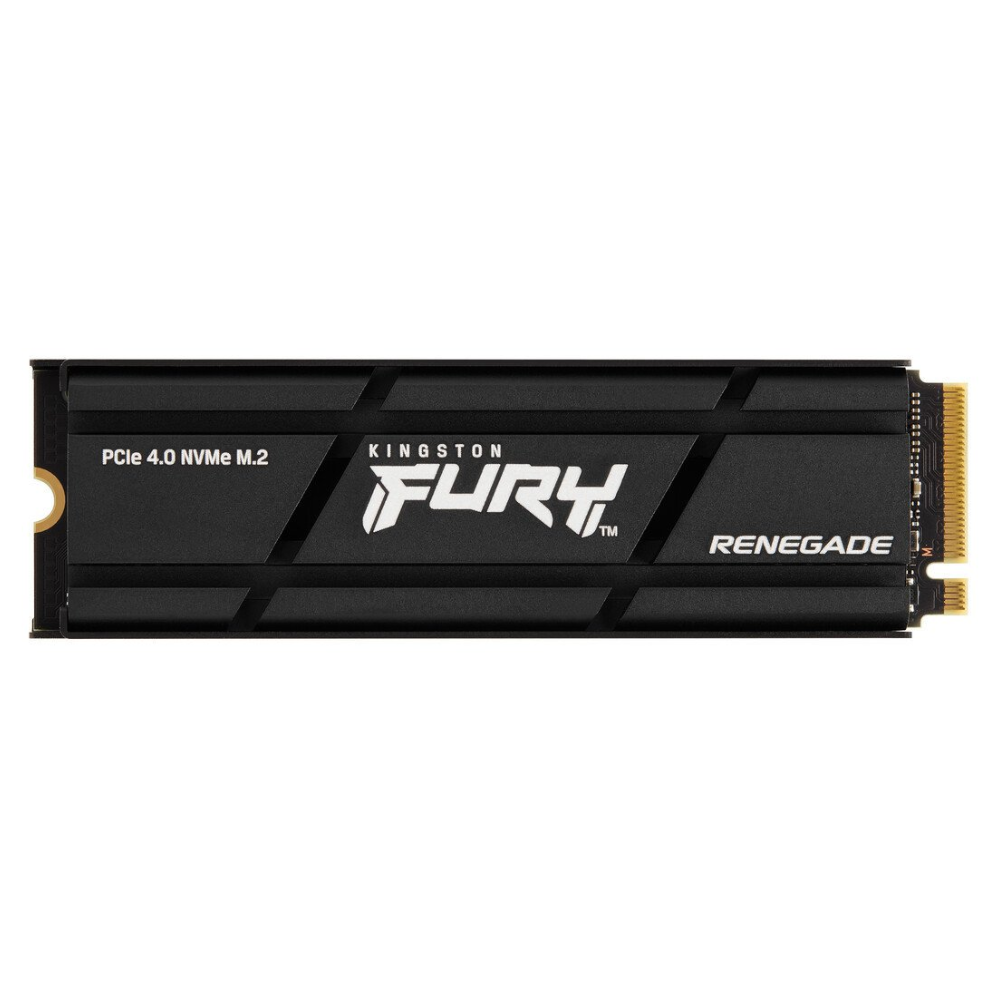 KINGSTON SFYRSK/500G