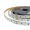 Світлодіодна стрічка 5630 Epistar 12 В 60 LED/m SMD5630 14,4W/m IP20 без силікону, фото 6