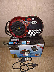 Портативний акумуляторний радіоприймач Golon RX-141 портативне радіо з USB-виходом і цифровим дисплеєм