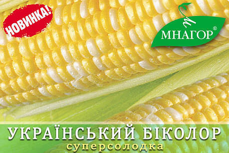 Насіння суперсолодкої кукурудзи Біколор F1, Мнагор, фото 2