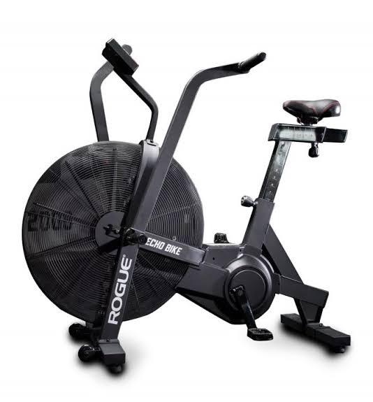 Велотренажер Rogue Echo Bike (17069)