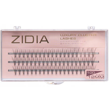 Накладні вії пучкові ZIDIA Cluster lashes 10D C 0,10 (3 ряди, розмір 12 мм), чорні, фото 1
