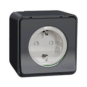 Розетка Schneider Electric Mureva Styl чорна зовнішня зі заземленням ішторками IP55 (C2) MUR36034
