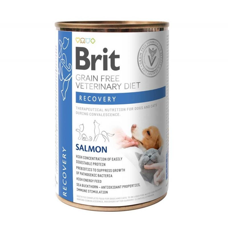 Вологий корм для собак і кішок Brit Grain-Free VetDiets Recovery для оздоровлення 400 г (з лососем), фото 1