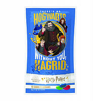 Драже Jelly Belly Harry Potter 10 Flavour 28 g