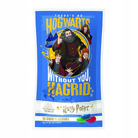 Драже Jelly Belly Harry Potter 10 Flavour 28 g