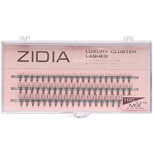 Накладні вії пучкові ZIDIA Cluster lashes 10D C 0,10 Mix (3 ряди, розмір 8, 10, 12 мм), чорні