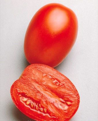 Насіння томату Гваделетте F1 1000 насінин Seminis
