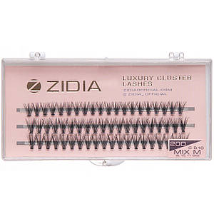 Накладні вії пучкові ZIDIA Cluster lashes 20D C 0,10 Mix M (3 ряди, розмір 9, 10, 11 мм), чорні