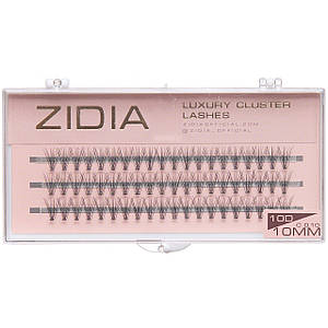 Накладні вії пучкові ZIDIA Cluster lashes 10D C 0,10 (3 ряди, розмір 10 мм), чорні