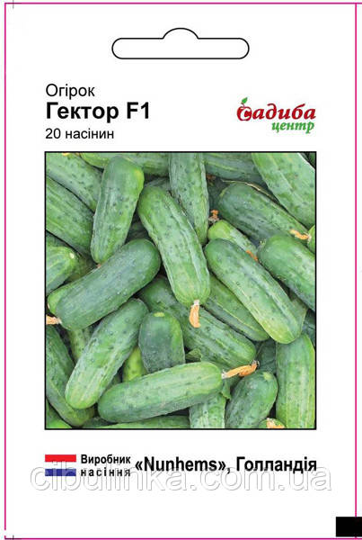 Огірок Гектор F1 Nunhems/Нідерланди 20 шт, фото 1