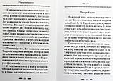 Бог — Творец и Освятитель мира  Наум (Байбородин) архимандрит, фото 7