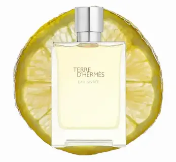 Hermes Terre d'Hermes Eau Givree парфюмированная вода 100 ml
