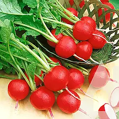 Редис Сора 100 г (zip-paket)