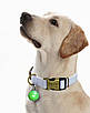 Світиться LED-брелок на карабіні для собак на нашийник із батарейкою, фото 3