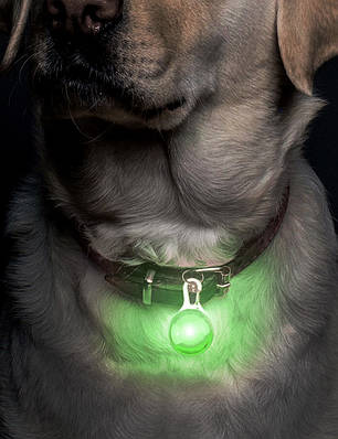 Світиться LED-брелок на карабіні для собак на нашийник із батарейкою