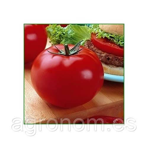 Насіння томату Біг Біф F1 250 насінин Seminis