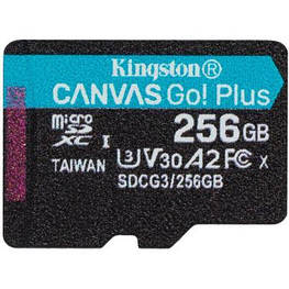 Картка пам'яті Kingston 256 GB microSDXC class 10 A2 U3 V30 Canvas Go Plus (SDCG3/256GBSP)