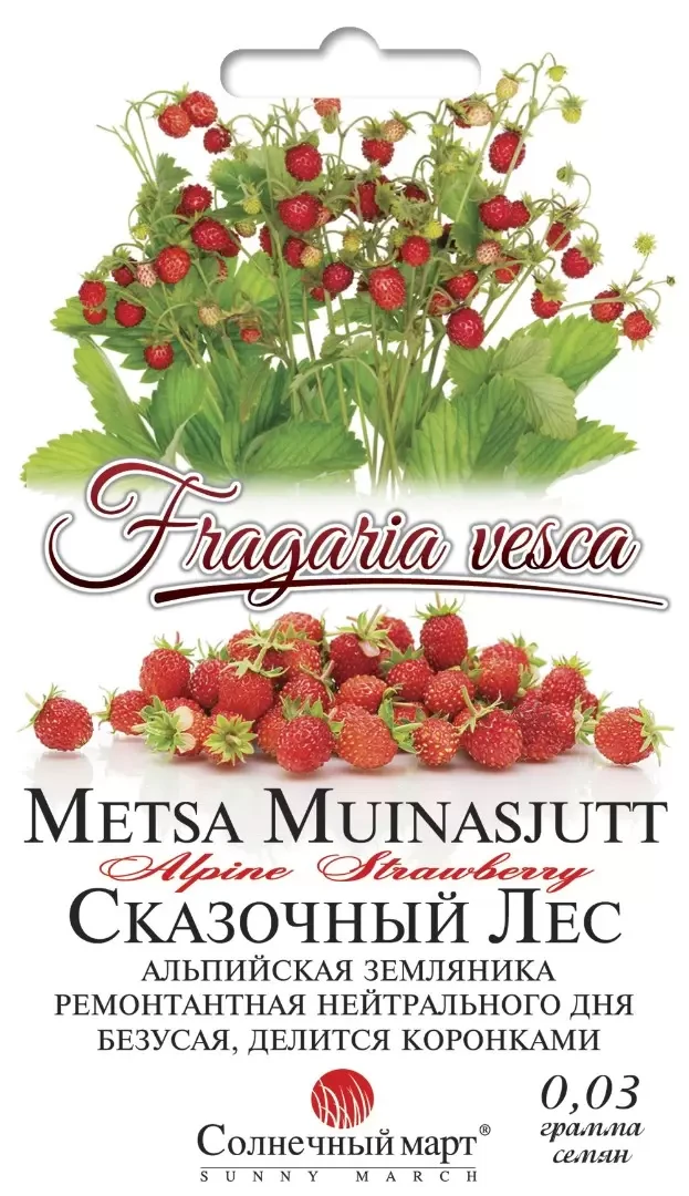 Суниця Казковий ліс 0,03 гр (СМ)
