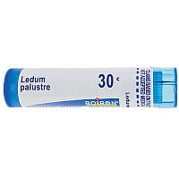 Boiron Ledum palustre / Багульник болотний проти укусів комах 30C