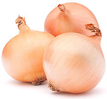 Насіння цибулі