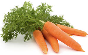 Насіння моркви