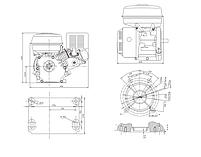 Двигун дизельний Weima WM188FBSE (R) (1800 об/хв, шпонка, 12 л. с. ел.старт, редуктор), фото 5