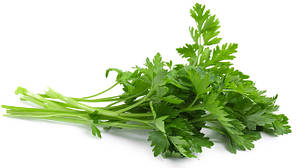 Насіння петрушки