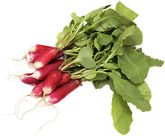 Насіння редису