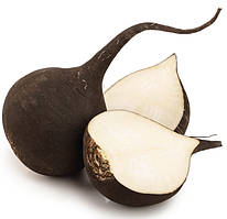 Насіння редьки