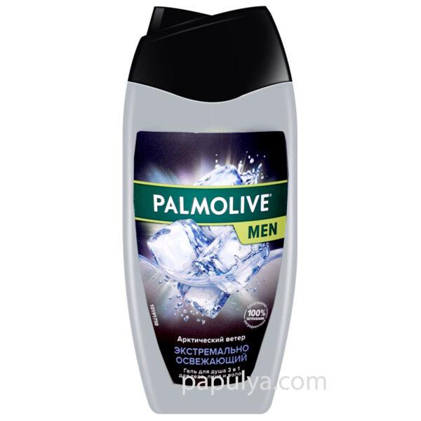 Гель для душу Палмолів Palmolive Men Арктичний вітер 3 в 1 для тіла, обличчя та волосся 250 мл