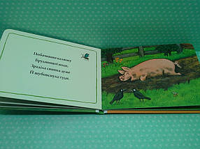 АртБукс Шеффлер Поросинка, фото 5
