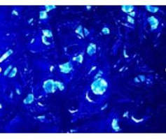 Гірлянда чорний провід "Кристал" 100 колір синій 6м (ЧПК-100С) 1/100