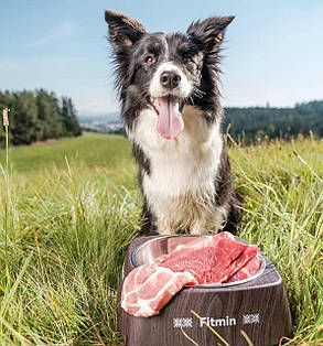 Fitmin For Life Adult Large Breeds, 1 кг (розвіс). Збалансований сухий корм для дорослих великих собак, фото 4