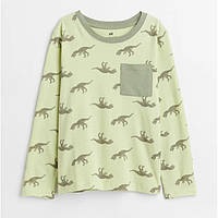 Дитяча кофта лонгслів H&M для хлопчика р.134/140 / динозаври