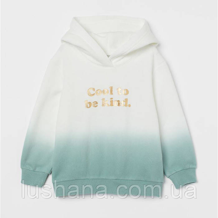 Дитяча толстовка худи на флісі H&M на дівчинку 4-6 років - р.110/116, фото 1