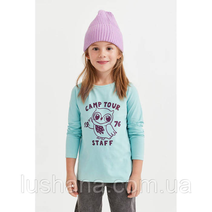 /70045/ Дитяча кофта реглан лонгслів H&M для дівчинки р.110/116 - 4-6 років