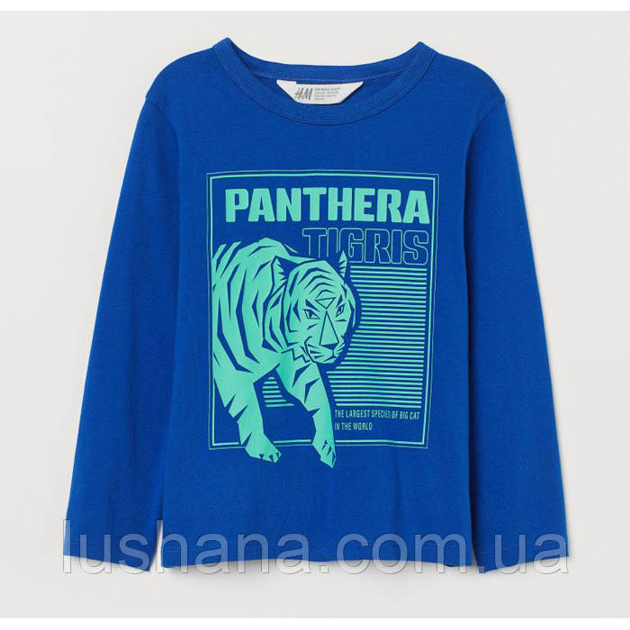 /18312/ Дитяча кофта лонгслів H&M на хлопчика р.98/104 - 2-4 роки