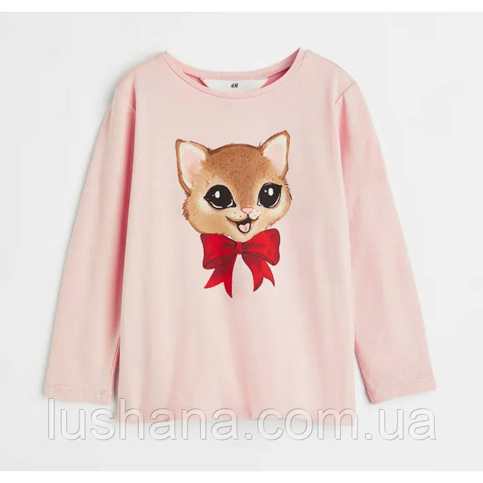 Дитяча кофта лонгслів H&M для дівчинки р.110/116 - 4-6 років, фото 1