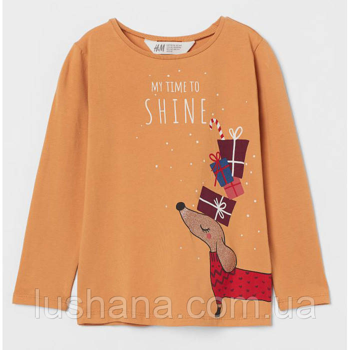 /58312/ Дитяча кофта лонгслів H&M для дівчинки р.92 - 1,5-2 роки