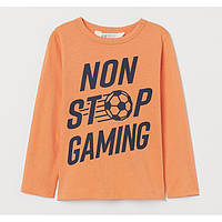 Дитяча кофта лонгслів H&M на хлопчика / 110-116 / 4-6