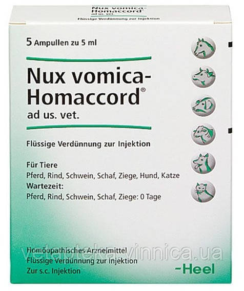 Хель Біладонна Гомакорд No5, фото 1