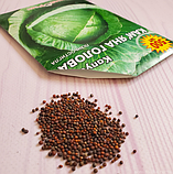 Насіння капусти білокачанної Кам'яна голова, фото 4