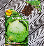 Насіння капусти білокочанної Слава 1305 профпакет, фото 6