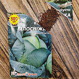 Насіння капусти білокачанної Білосніжка профпакет, фото 6
