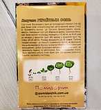 Насіння капусти білокачанної Українська Осінь, фото 2