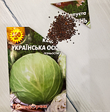 Насіння капусти білокачанної Українська Осінь, фото 3